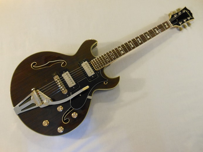 HollowBodyRosewood Picture 1